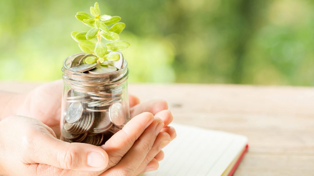 woman hand holding plant growing from coins bottle